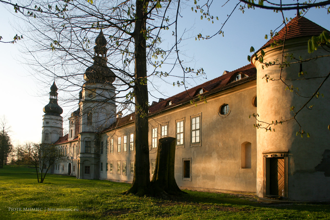 Pałac w Żyrowej