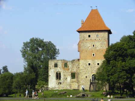 Zamek Chudów – czerwiec 2006