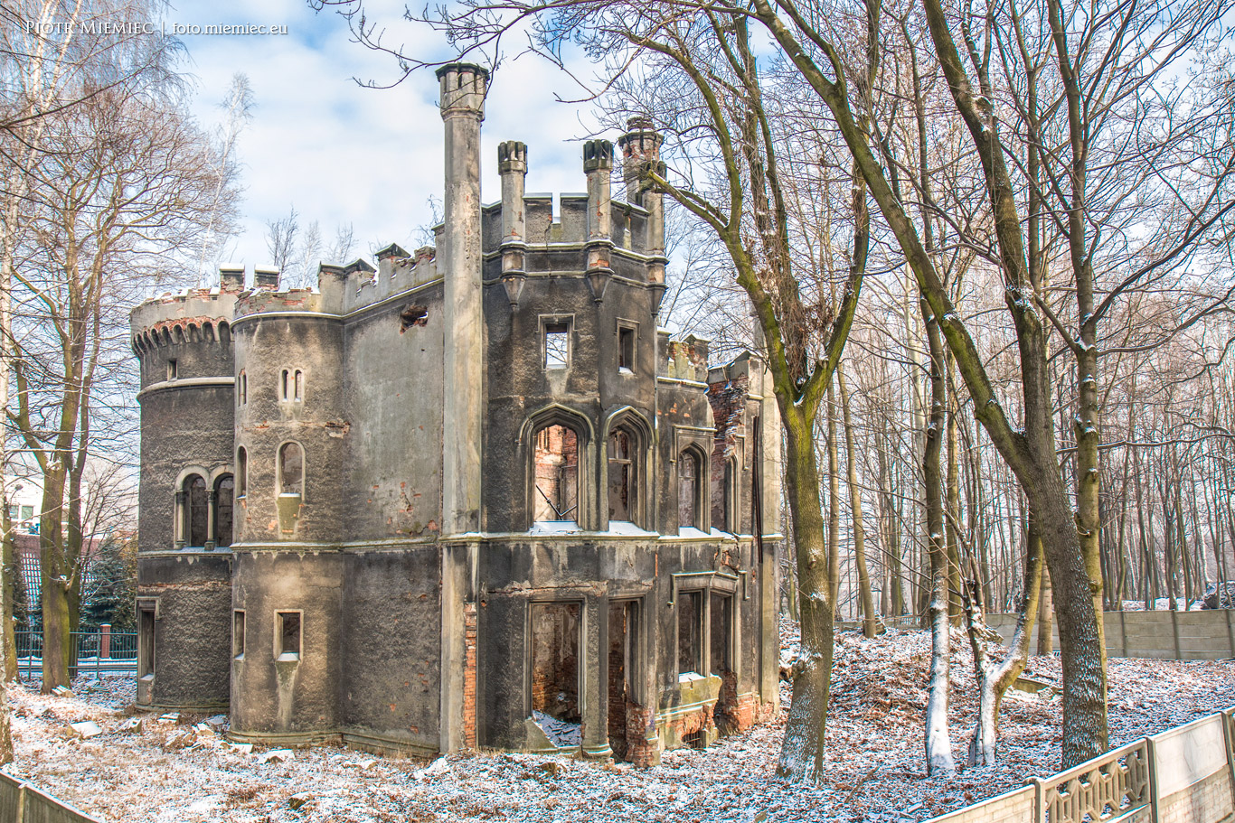 Ruiny pałacu w Miechowicach