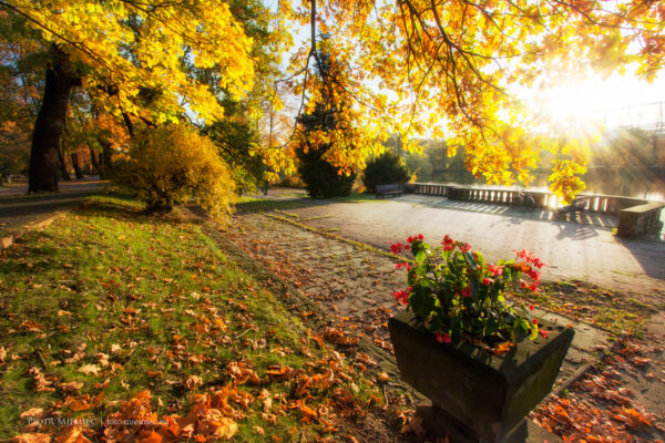 Jesień w Parku Śląskim
