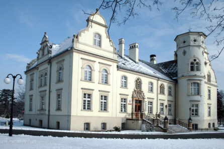 Pałac w Przyszowicach – luty 2009