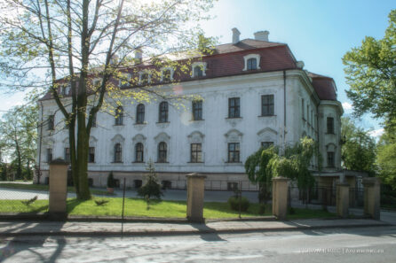 Pałac w Sośnicowicach – maj 2008