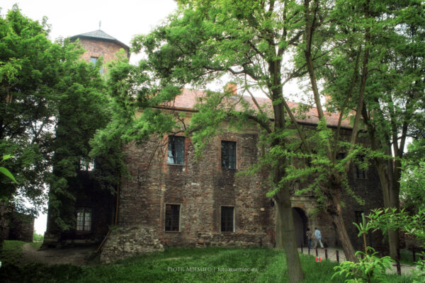 Zamek w Toszku – maj 2008