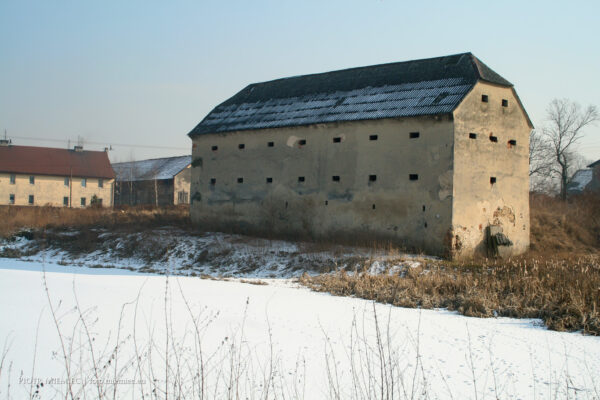 IMG_2645 1565