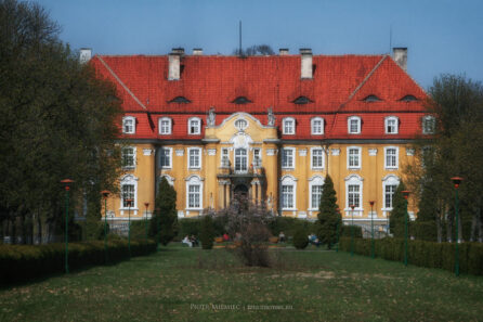 Pałac w Kochcicach – kwiecień 2010