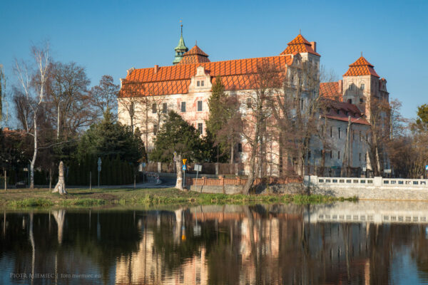 Zamek Niemodlin – listopad 2018