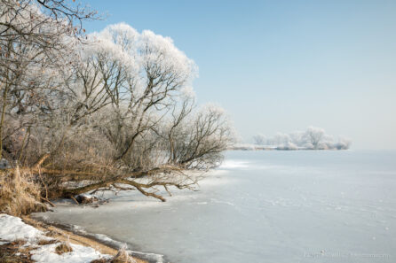 Zima nad jeziorem Goczałkowickim