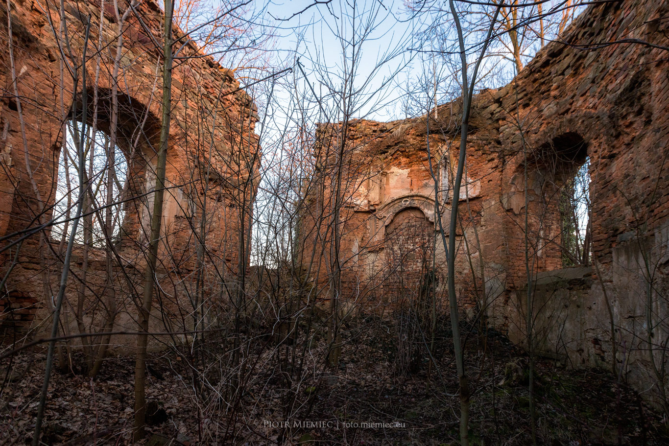 Wojnowice ruiny kościoła