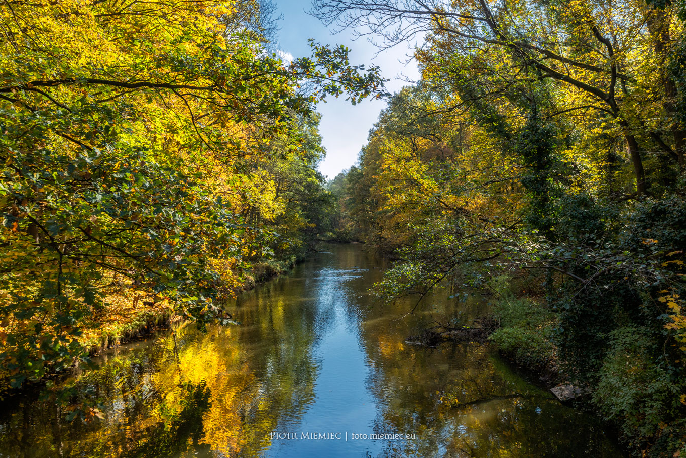 Rzeka Ruda jesienią