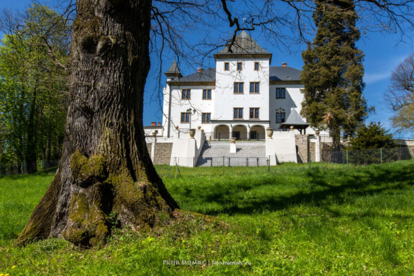Grodziec Śląski zamek