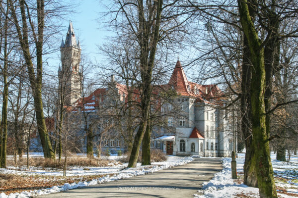 Pałac w Nakle Śląskim zima