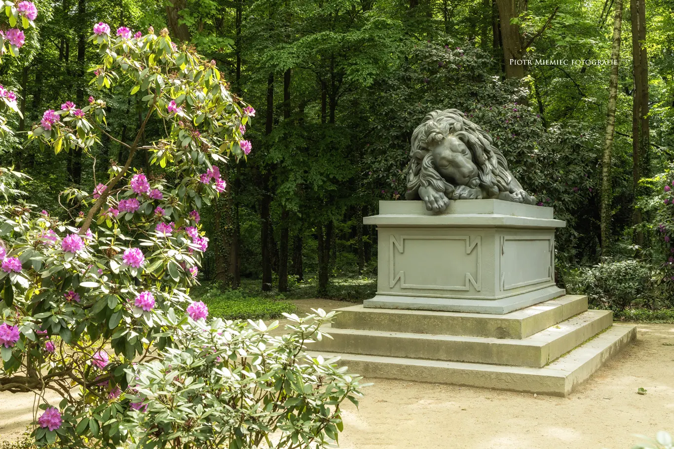 Park w Pokoju, Śpiący lew