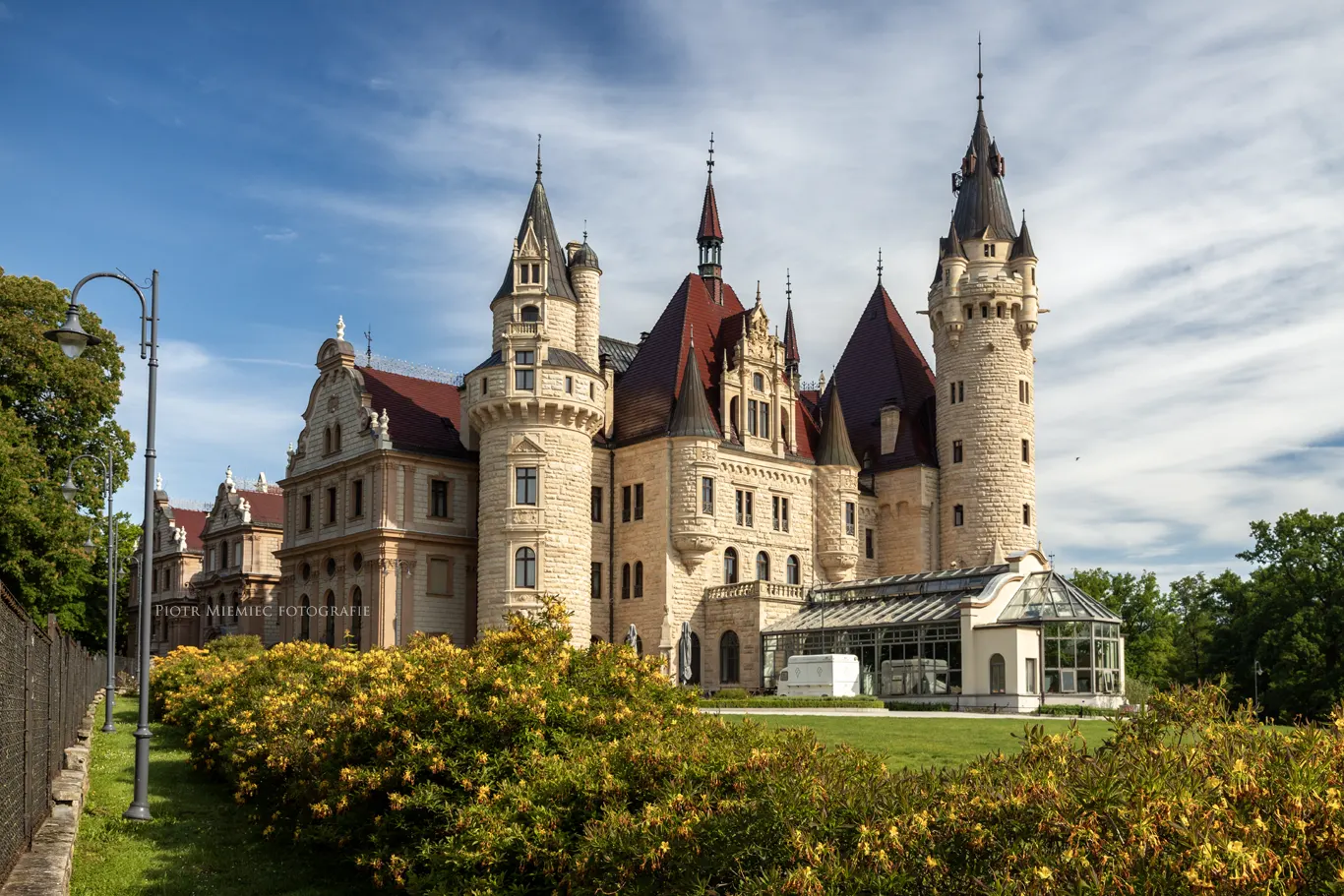 Moszna kwitnące azalie
