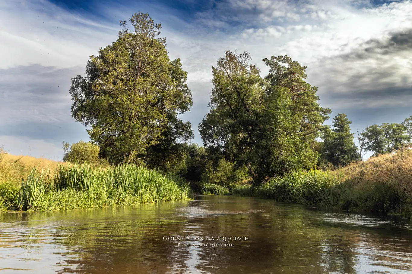 Łąki i las – rzeka przepływa przez tereny Natura 2000.